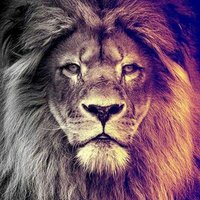 محمد الليثي (@mmdllyt35839087) 's Twitter Profile Photo محمد الليثي (@mmdllyt35839087) 's Twitter Profile Photo
