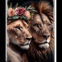 MASALMD (@masalmd01) 's Twitter Profile Photo