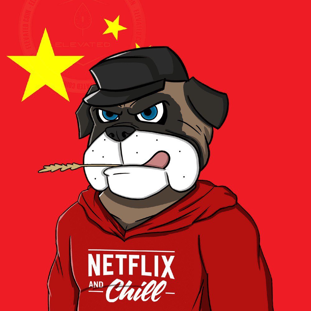 A Dog lover 🐕| Web3 Content Creator | Jpeg/Jpegs Lover | Web3 Builder | Moderator and Collab Manager