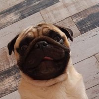 Ramiroquai (@ramiroquaixz) 's Twitter Profile
