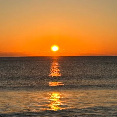 shuto__0917's profile picture. スポーツ学生 /プレミアリーグが好きでウルブスを推しています@Wolves