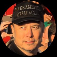 Elon Musk (Parody) (@adrie_420_) 's Twitter Profile