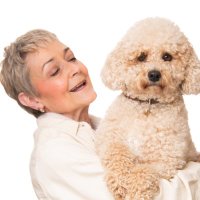 Fran Godfrey (@frangodfrey1) 's Twitter Profile