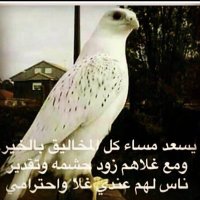 @Arss720🌸 ابو فهد الزهراني (@arss720) 's Twitter Profile