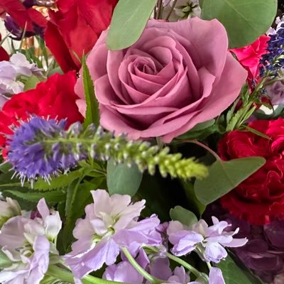 MaureenGApeach's profile picture. opinions and comments are my own