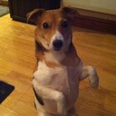 Mr Barnes Wallis - @BarnesWallisJRT - Twitter