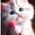 Adil n muskan (@zohanali1456354) Twitter profile photo Adil n muskan (@zohanali1456354) Twitter profile photo
