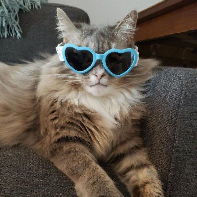 MdSifat889's profile picture. 