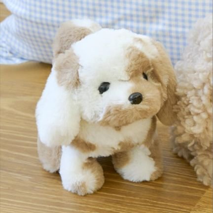 nonononon1909's profile picture. 