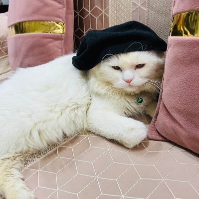 FAIZALHAQUE15's profile picture. Crackpot and what not