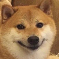KC🫠 (@0xkckc) 's Twitter Profile Photo KC🫠 (@0xkckc) 's Twitter Profile Photo