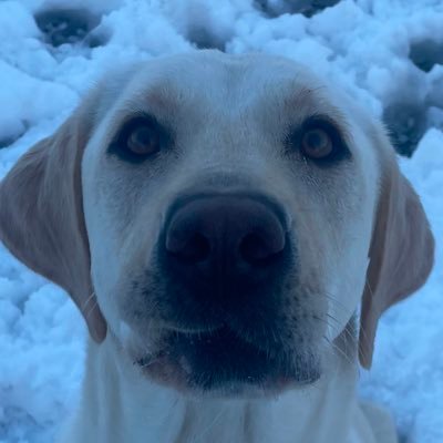 Joanne Gregory Profile