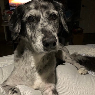 CarlosV2726's profile picture. 