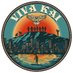 Viva Kai (@vivakai_connect) Twitter profile photo Viva Kai (@vivakai_connect) Twitter profile photo