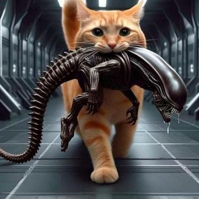 Valoreva's profile picture. Follow The Money for answers!

Ask the right questions!

simplicity is a sign of intelligence! 🙂