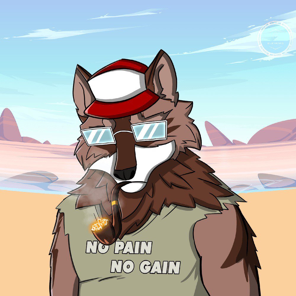 GGmrvek201333's profile picture. Trading crypto since 2013. developer and journalist. Please note, my tweets are not financial advice.