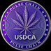 $USDCA⚡️PulseChain🔥PulseX (@usdca777) Twitter profile photo $USDCA⚡️PulseChain🔥PulseX (@usdca777) Twitter profile photo