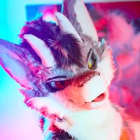 Spicy Lennox (@spicylennox) 's Twitter Profile Photo