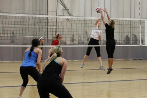 CenterCourtWis's profile picture. 