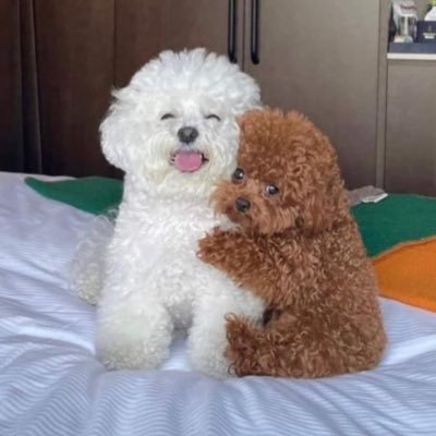 LuffBam's profile picture. We're under the same sky and breathe the same air 🧸°.•°💌