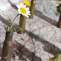 رويا اسماعيلی (@realef313) Twitter profile photo