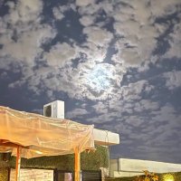 منصور المطيري (@kx_qx) 's Twitter Profile