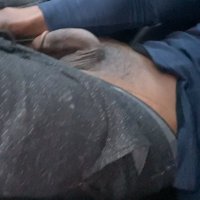 AnonFreak (@anonfreak21) 's Twitter Profile
