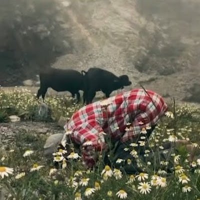 mondol_sif25238's profile picture. 