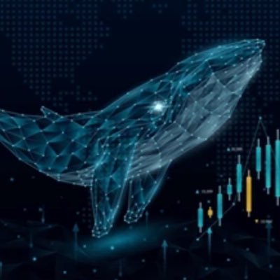 edumenendezc's profile picture.