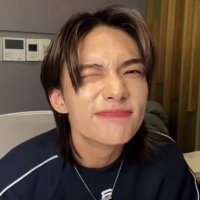 north ʚ🧸ɞ˚ (@oursfelix) 's Twitter Profile