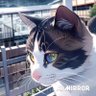 sirai_sawa's profile picture. 田舎の公僕やってます。最近はほぼ仕事と関係ないことしか呟いていません。宝くじで3億円当たったら、お刺身にタンポポをのせるだけの簡単なお仕事に転職したいです。