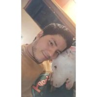 Luis Núñez (@_luisnunezg) 's Twitter Profile