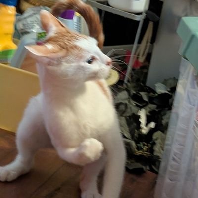 TbHGeNeSiZ's profile picture. 😪