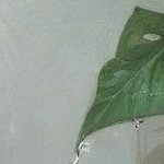 RobouteGui4316's profile picture. 