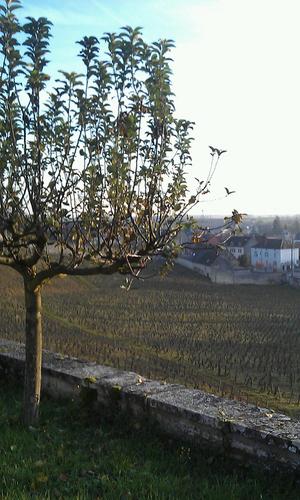 foodandwineman's profile picture. Wine, Spirits & Beers Salesman in the South