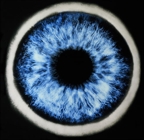 motoFILL's profile picture. Люблю скорость,мото-автотехнику,слежу за интесными новинками.#autofollow