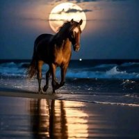 دمعة (@dm4977837477059) 's Twitter Profile