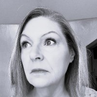 P.A. Tremblay (@ptremblaya) 's Twitter Profile Photo P.A. Tremblay (@ptremblaya) 's Twitter Profile Photo