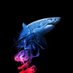 ♦️♣️Waldecir♥️♠️🇧🇷 (@wal5xxxxgmailc1) Twitter profile photo ♦️♣️Waldecir♥️♠️🇧🇷 (@wal5xxxxgmailc1) Twitter profile photo