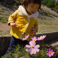 さんばい (@anton4one) 's Twitter Profile