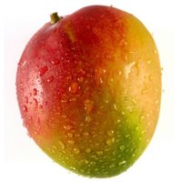 mango (1 SLOT OPEN) (@mangos_bellyart) 's Twitter Profile Photo mango (1 SLOT OPEN) (@mangos_bellyart) 's Twitter Profile Photo