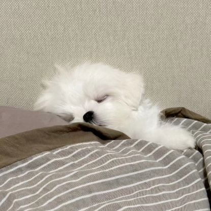 좋아하는 사람은 많은데😆