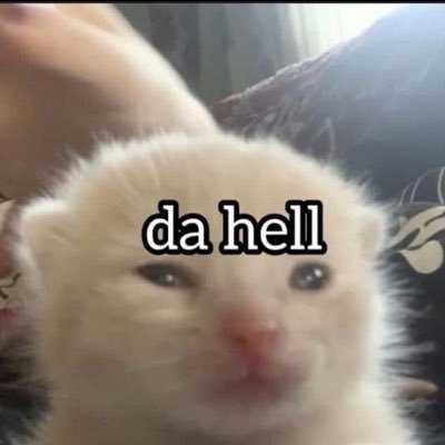 RagnerothMod's profile picture. 