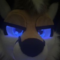 Fex 🦊 / Fidget 🦝 (@fidgetraccoon) 's Twitter Profile