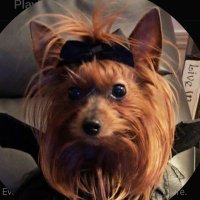 MOM3XBOYS ♎️ (@carriebald47674) 's Twitter Profile Photo MOM3XBOYS ♎️ (@carriebald47674) 's Twitter Profile Photo