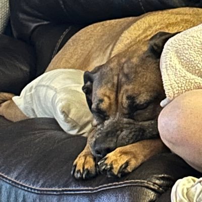 seliger_paul's profile picture. 