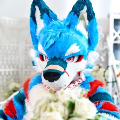 Hi I’m KoriGami🐺🦈. Nice to meet you guys! Fursuit🧵: @furmony / @wolf_daz , My main account is @tama_nthegang Feel free to talk 🇬🇧🇯🇵