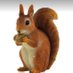 Red Squirrel (@sincaplojistik) Twitter profile photo Red Squirrel (@sincaplojistik) Twitter profile photo