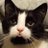CatMan