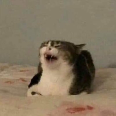 molina_sinpan's profile picture. 